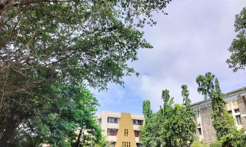 乌鸡阿胶汤的功效与主治-乌鸡阿胶汤的功效网 :分享乌鸡阿胶汤功效与作用是什么-乌鸡阿胶汤功效与作用是什么知识